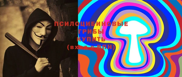 первитин Заводоуковск