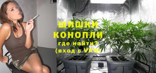 гидра Яровое